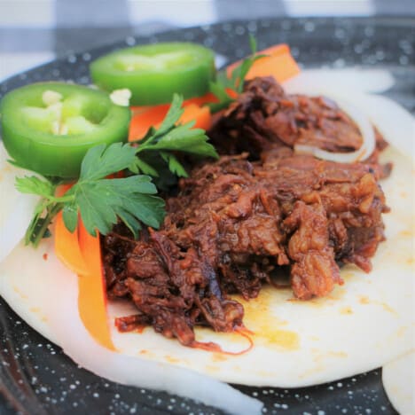 Close up of pulled brisket taco using a tortilla and toped with carrot, radish, cilantro, and jalapeno slices.