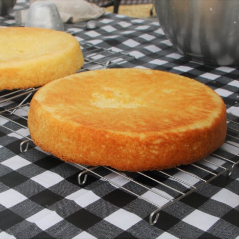 Two sponge cakes cooking on wire racks over a black and white checkered tablecloth.