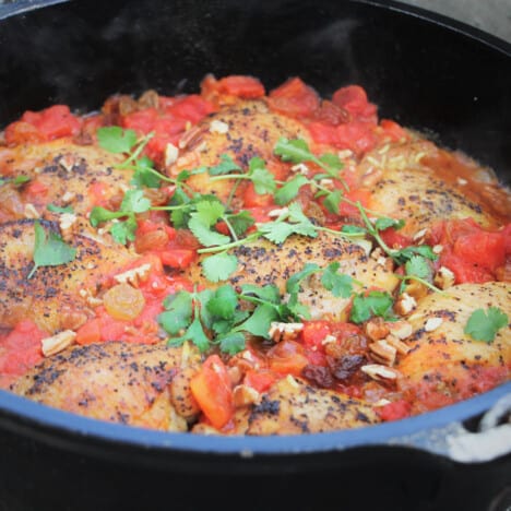 A Dutch oven filled with tomato and chicken garnished with cilantro.