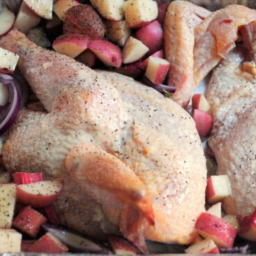 A close up of a smoked chicken half nestled in chopped red potatoes.