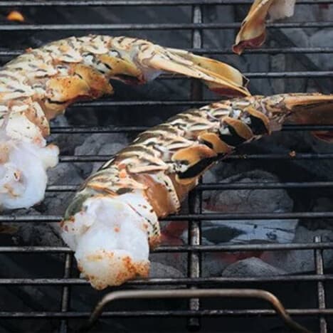 Lobster halfs over a charcoal grill being cooked meat side down.
