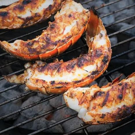 Four grilled lobster halfs on a charcoal grill.