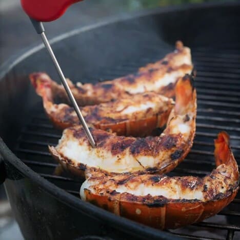 The internal temperature of a lobster half on the grill being checked.