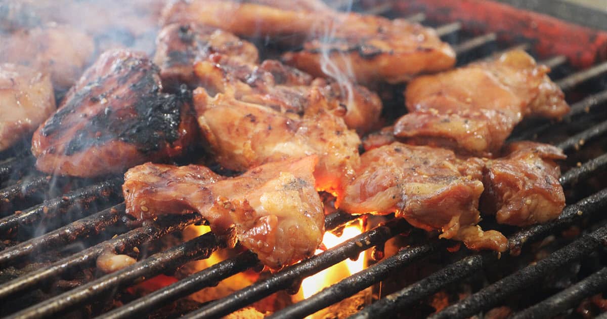 Grilled Teriyaki Chicken | Bush Cooking