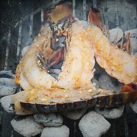 Four half lobser tails sitting directly on the coals in a grill.