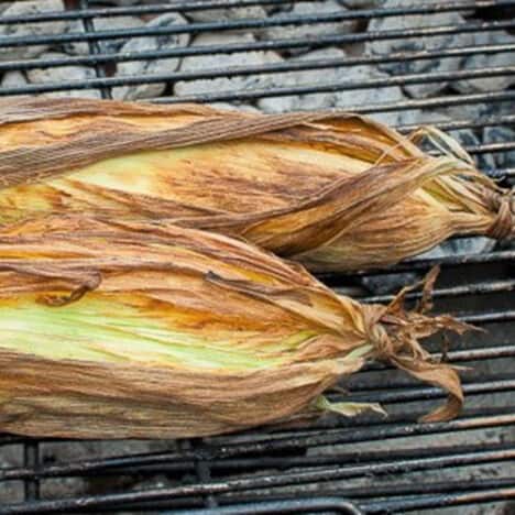 Two husked ears of corn cooking on a charcoal grill.